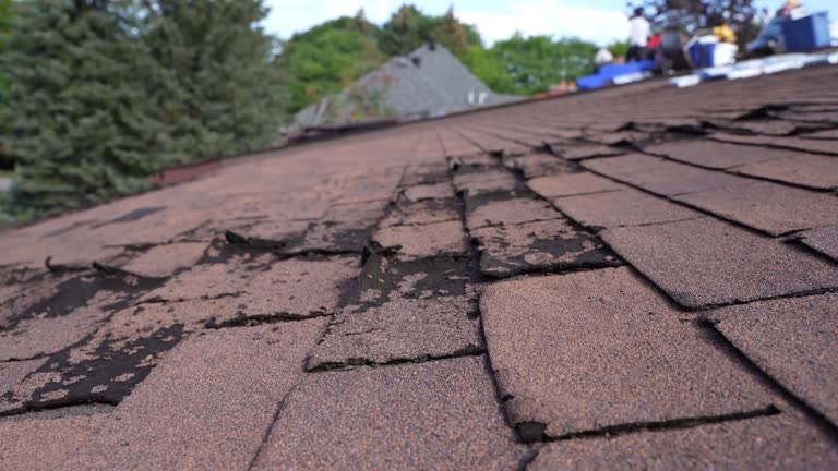 Best Cold Roofs  in Kirtland, OH