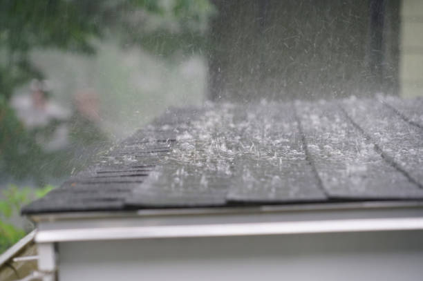 Best Roof Moss and Algae Removal  in Kirtland, OH